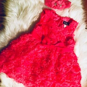 TCP Boutique Baby  Dress 9-12